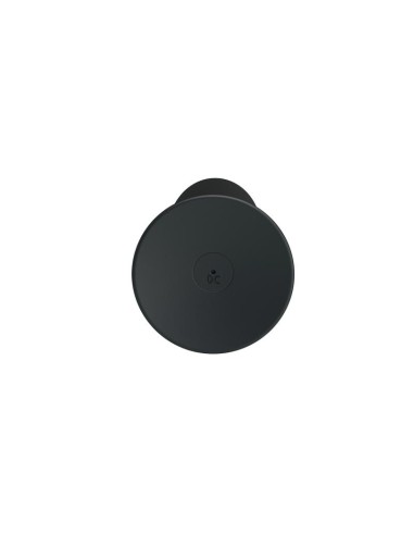 Plug Anal con Vibracion y Control Remoto USB