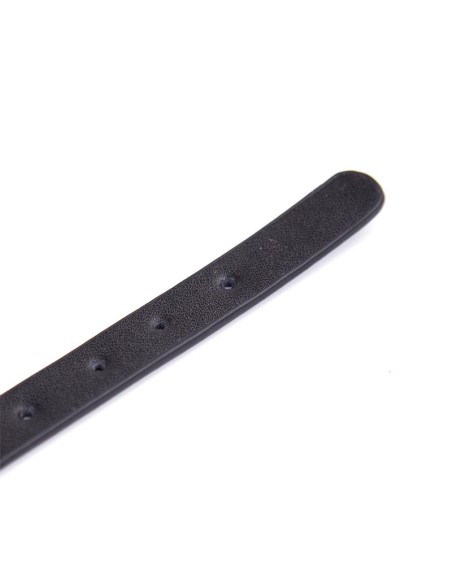 Collar Ajustable 43 cm Negro